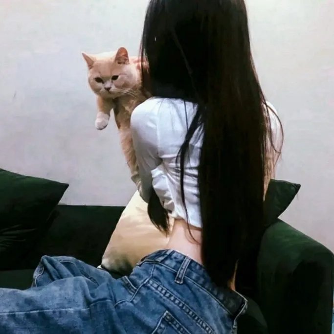 大鸟和小鸟 在线观看